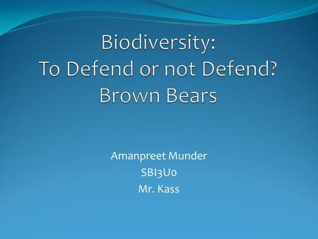 Biodiversity: To Defend or not Defend? Brown Bears