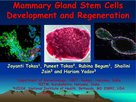 Mammary Gland Stem Cells Development and Regeneration Jayanti Tokas 1, Puneet Tokas 2, Rubina Begum 1, Shailini Jain 3 and Hariom Yadav 3 1 Department.