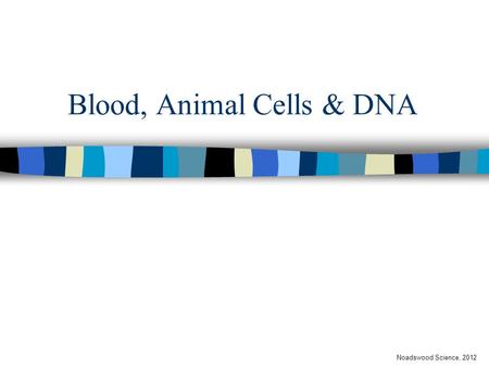 Blood, Animal Cells & DNA Noadswood Science, 2012.