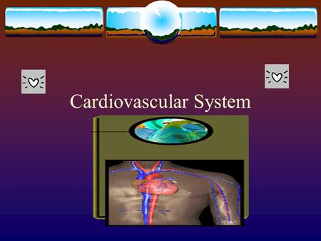 Cardiovascular System.  Includes the heart, blood vessels and blood. (add blood to your notes)  Vital for survival, without circulation the tissues.