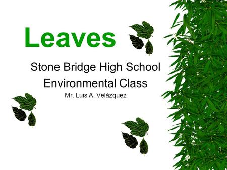 Leaves Stone Bridge High School Environmental Class Mr. Luis A. Velázquez.