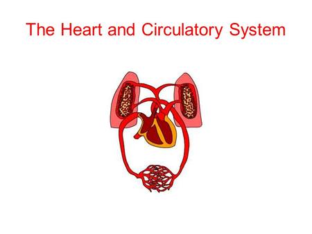 The Heart and Circulatory System. DK & PK Declarative Knowledge Procedural Knowledge Name the organs of the circulatory system and describe how they function.