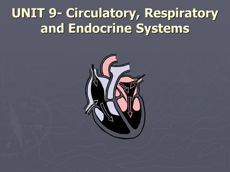 UNIT 9- Circulatory, Respiratory and Endocrine Systems.