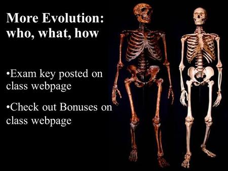 More Evolution: who, what, how Exam key posted on class webpage Check out Bonuses on class webpage.