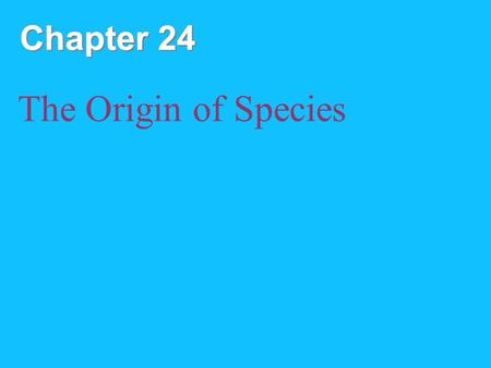 Chapter 24 The Origin of Species. Copyright © 2008 Pearson Education, Inc., publishing as Pearson Benjamin Cummings Speciation = origin of new species.