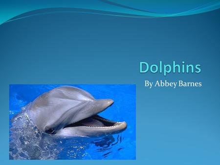 By Abbey Barnes. Food Dolphins eat mostly fish but, some eat shrimp and squid, too. River Dolphins will eat small shellfish and turtles. Many dolphin.