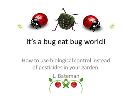 How to use biological control instead of pesticides in your garden.