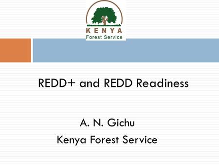 A. N. Gichu Kenya Forest Service REDD+ and REDD Readiness.