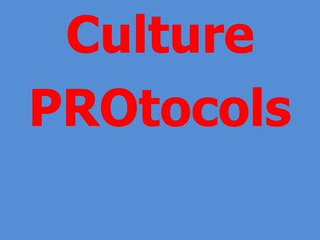 Culture PROtocols. CULTURE DRAMA Body Language Gestures Proximity Facial expressions Emotional animation Degree of formality Posture.