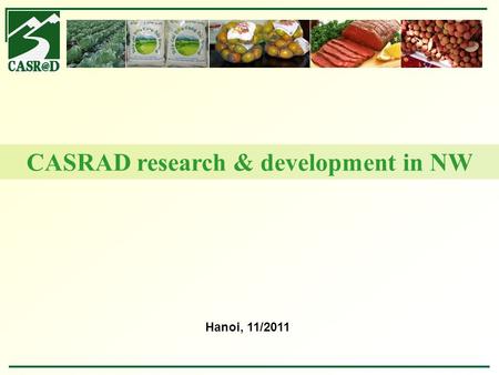 Hanoi, 11/2011 CASRAD research & development in NW.