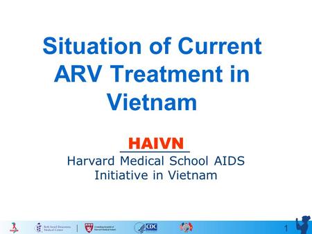 1 Situation of Current ARV Treatment in Vietnam HAIVN Harvard Medical School AIDS Initiative in Vietnam.