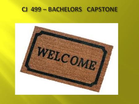 CJ 499 – BACHELORS CAPSTONE
