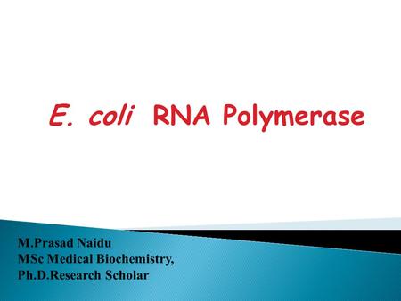 E. coli RNA Polymerase M.Prasad Naidu MSc Medical Biochemistry,