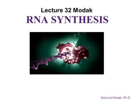 RNA SYNTHESIS Mukund Modak, Ph.D. Lecture 32 Modak.