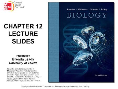 CHAPTER 12 LECTURE SLIDES