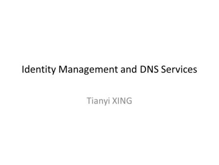 Identity Management and DNS Services Tianyi XING.