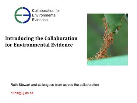 Ruth Stewart and colleagues from across the collaboration Introducing the Collaboration for Environmental Evidence.
