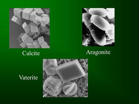 Aragonite Calcite Vaterite.