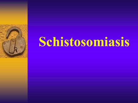 Schistosomiasis.