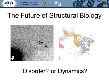 The Future of Structural Biology Disorder? or Dynamics? 10 Å.