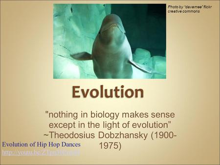 nothing in biology makes sense except in the light of evolution” ~Theodosius Dobzhansky (1900- 1975) Photo by “davemee” flickr creative commons Evolution.
