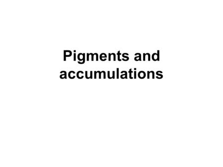 Pigments and accumulations. Normal cellular constituent vs. abnormal substance Transient vs. permanent Harmless vs. toxic Cytoplasm vs. nucleus Cell produced.