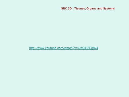 SNC 2D: Tissues, Organs and Systems