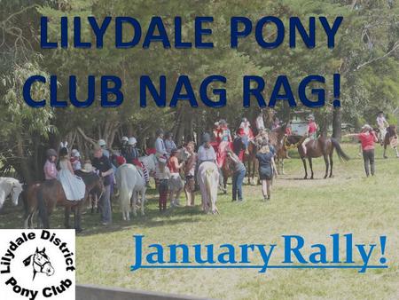 January Rally!. A big thankyou to Milly for all her hardwork producing the Nag Rag each month. Due to other commitments she has handed over the Nag Rag.