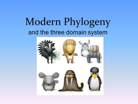 and the three domain system