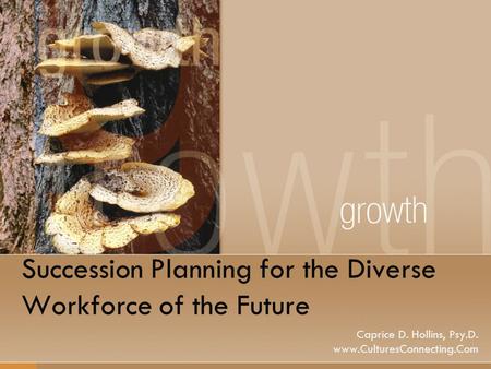 Succession Planning for the Diverse Workforce of the Future Caprice D. Hollins, Psy.D. www.CulturesConnecting.Com.