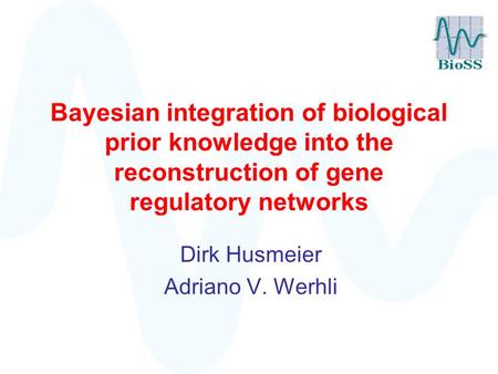 Bayesian integration of biological prior knowledge into the reconstruction of gene regulatory networks Dirk Husmeier Adriano V. Werhli.
