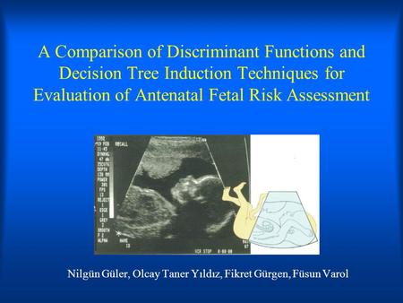 A Comparison of Discriminant Functions and Decision Tree Induction Techniques for Evaluation of Antenatal Fetal Risk Assessment Nilgün Güler, Olcay Taner.