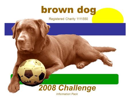 2008 Challenge Information Pack brown dog Registered Charity 1111550.