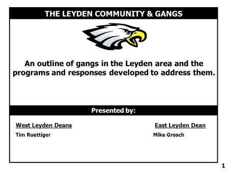 THE LEYDEN COMMUNITY & GANGS