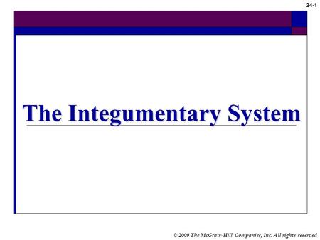 © 2009 The McGraw-Hill Companies, Inc. All rights reserved 24-1 The Integumentary System.
