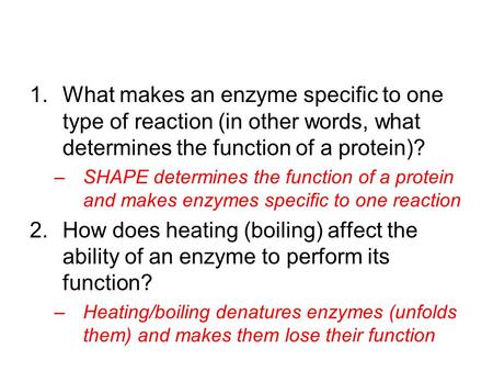 1.What makes an enzyme specific to one type of reaction (in other words, what determines the function of a protein)? –SHAPE determines the function of.