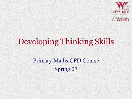 Developing Thinking Skills Primary Maths CPD Course Spring 07.