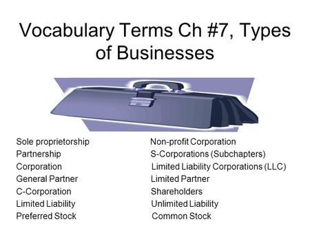 Vocabulary Terms Ch #7, Types of Businesses