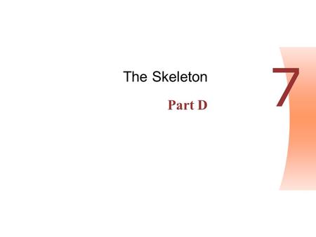 The Skeleton Part D 7.