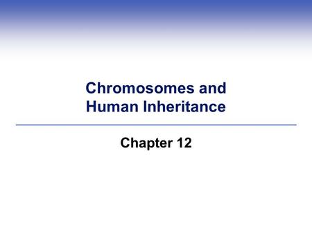 Chromosomes and Human Inheritance