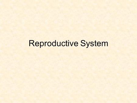 Reproductive System.