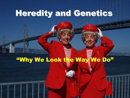 Heredity and Genetics “Why We Look the Way We Do”.