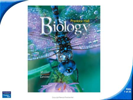 Slide 1 of 25 Copyright Pearson Prentice Hall Biology.