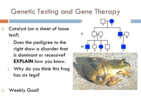 Genetic Testing and Gene Therapy  Catalyst (on a sheet of loose leaf) 1. Does the pedigree to the right show a disorder that is dominant or recessive?