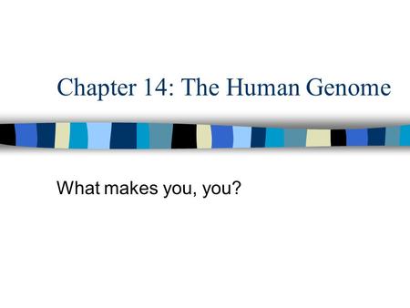 Chapter 14: The Human Genome