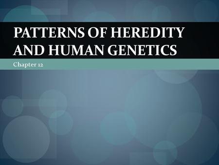 Chapter 12 PATTERNS OF HEREDITY AND HUMAN GENETICS.