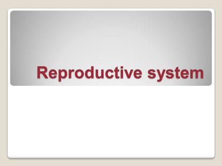Reproductive system.