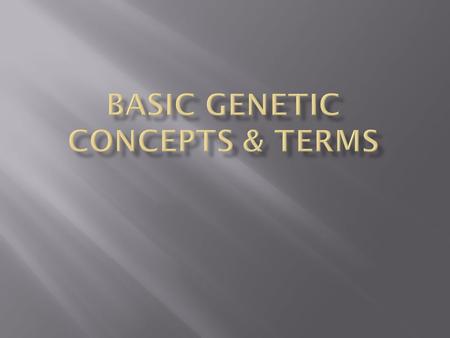  What is genetics?  Genetics is the study of heredity, the process in which a parent passes certain genes onto their children. What does that mean?