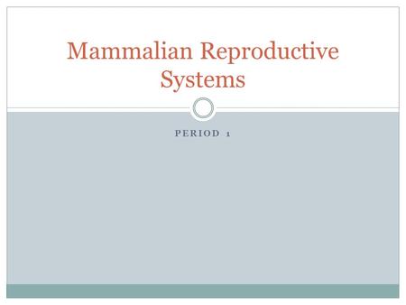 Mammalian Reproductive Systems