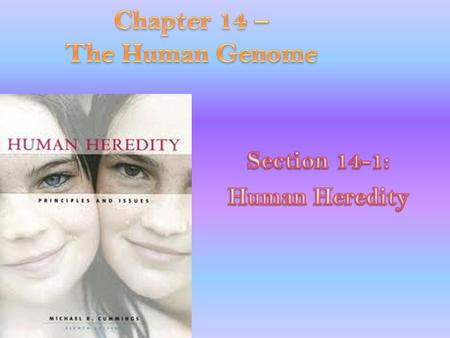 Chapter 14 – The Human Genome